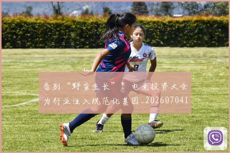 告别“野蛮生长”！电竞投资大会为行业注入规范化基因_20260704175353