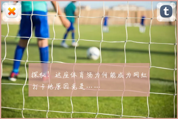 探秘！这座体育场为何能成为网红打卡地原因竟是……